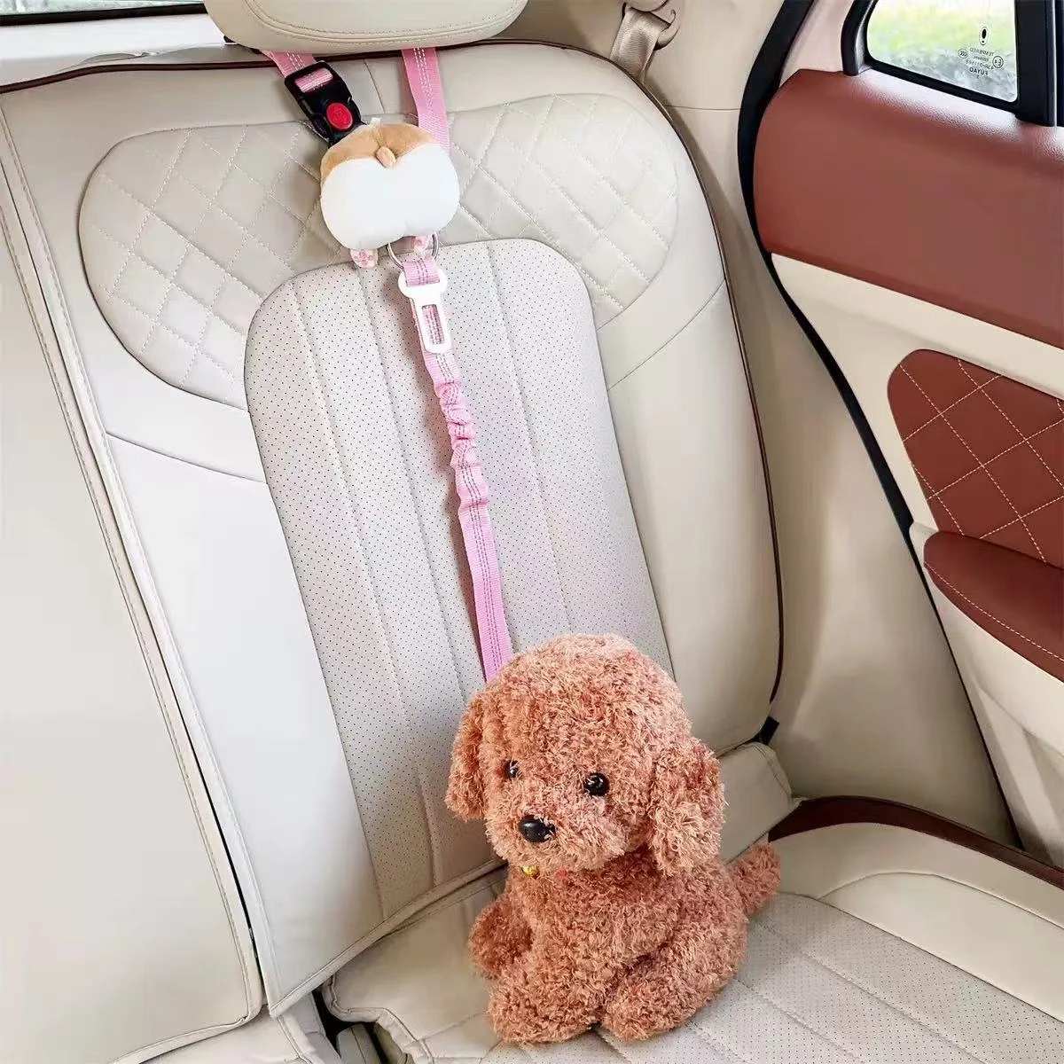 Pet travel carrier product — OEM solution for travel accessory brands