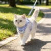 189 Soft & Breathable Adjustable Pet Harness With Leash-Comfortable Vest Harness For Small Dogs & Cats.
