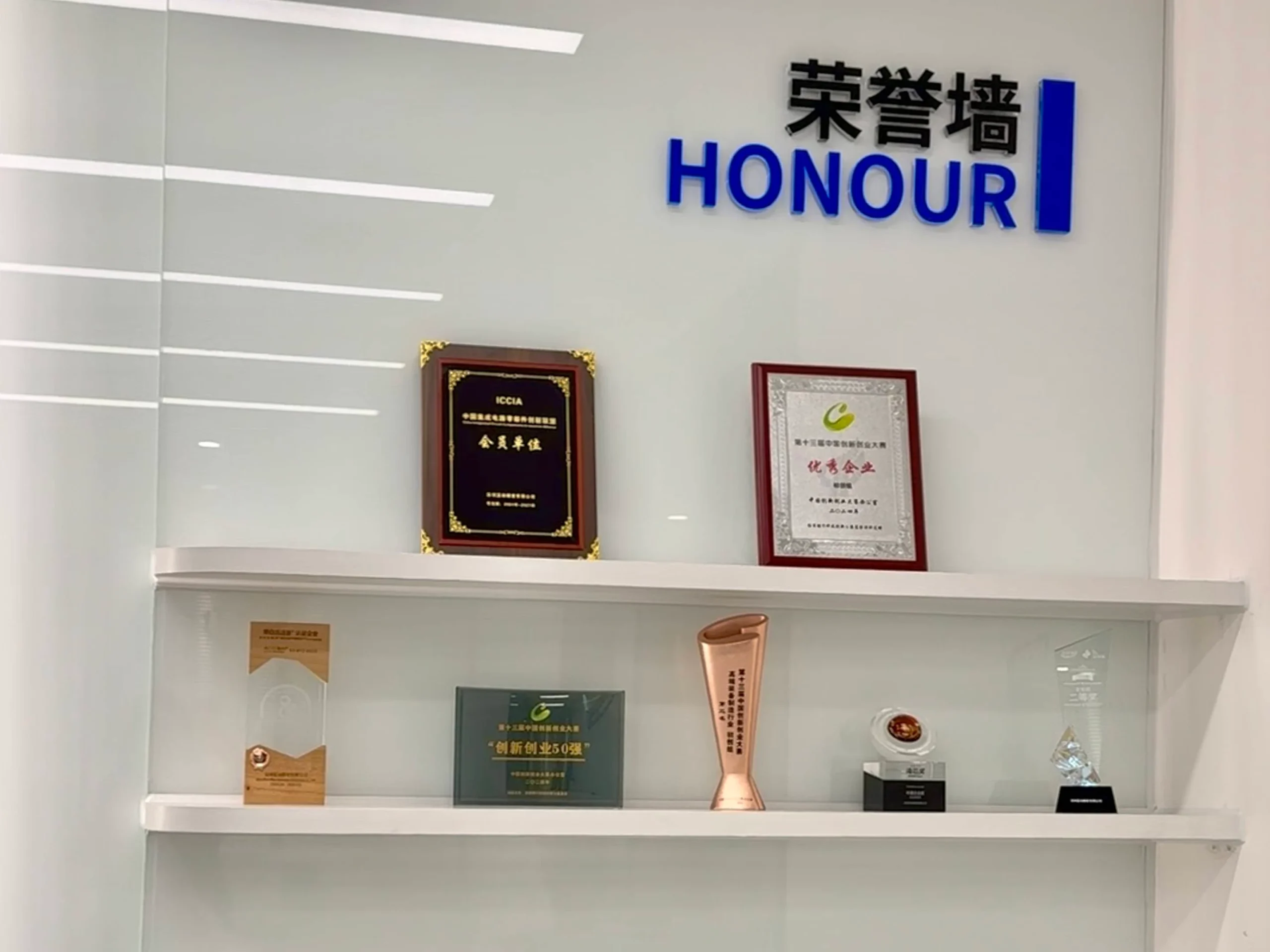 Modern pet products factory production line - Ningbo Ventop manufacturer