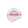 Reusable Pet Hair Remover Roller