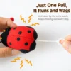 Plush Ladybug Cat Toy with Pull String