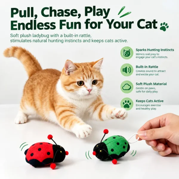 Plush Ladybug Cat Toy with Pull String
